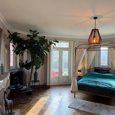 Luxury Estate With Pool &